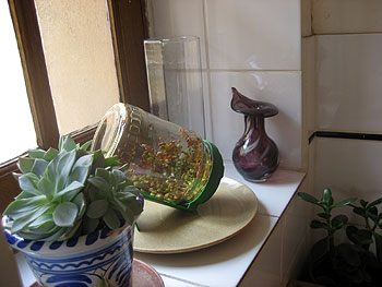 Elffin-07150.jpg